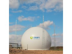 大白球双膜储气柜WD68图2