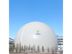 大白球双膜储气柜WD68图3