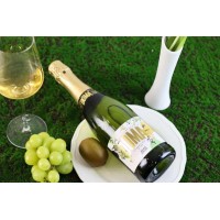 多玛白起泡葡萄酒 西班牙进口红酒批发